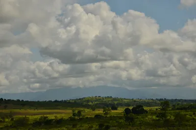 DSC_4382 (Large).JPG